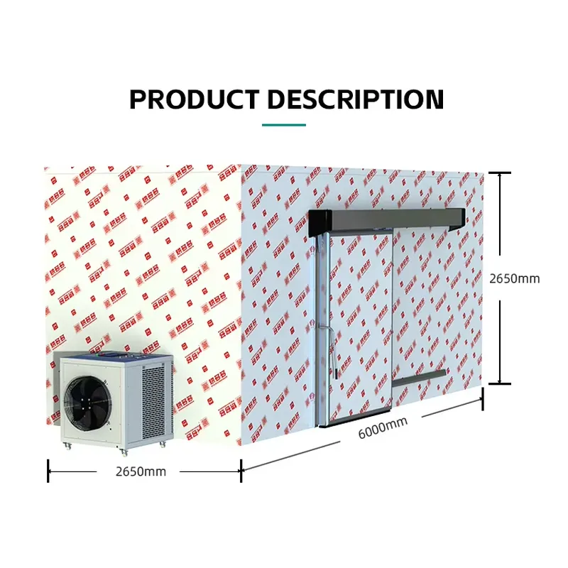 Déshydrateur alimentaire profe - Commercial Kitchen Kitchen avis et prix
