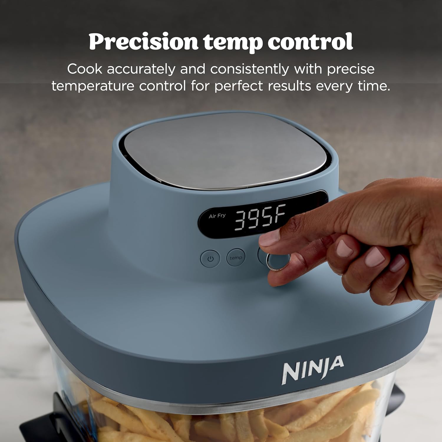 Friteuse à air Ninja Crispi Pr - Deep Fryer Commercial avis et prix